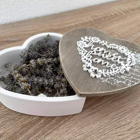 Kuca Za Odmor Bachus Nyaraló